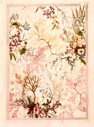 Marmurowy papier końcowy (papier)